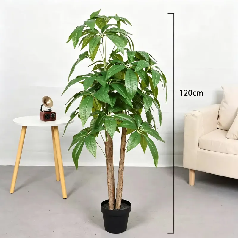 Bonsai Garden For Sale - عرض ساخن: شجرة المال الاصطناعية المزروعة