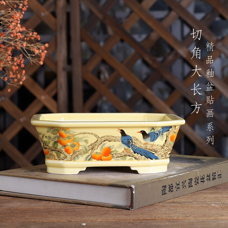 Bonsai Garden For Desk - وعاء بونساي مستطيل من البورسلين، النمط