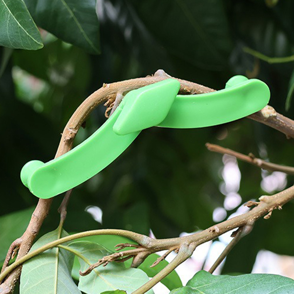 5 قطع من مثبتات فروع البونساي  - مراجعة Bonsai Garden Tools وسعره