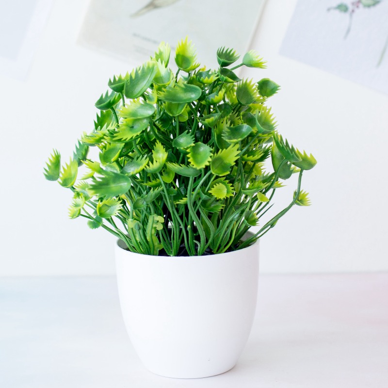 نبات اصطناعي أخضر من البلاستيك - مراجعة Bonsai Garden For Desk وسعره