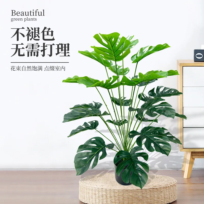 نبات صناعي واقعي على شكل سلحفا - مراجعة Bonsai Garden For Desk وسعره