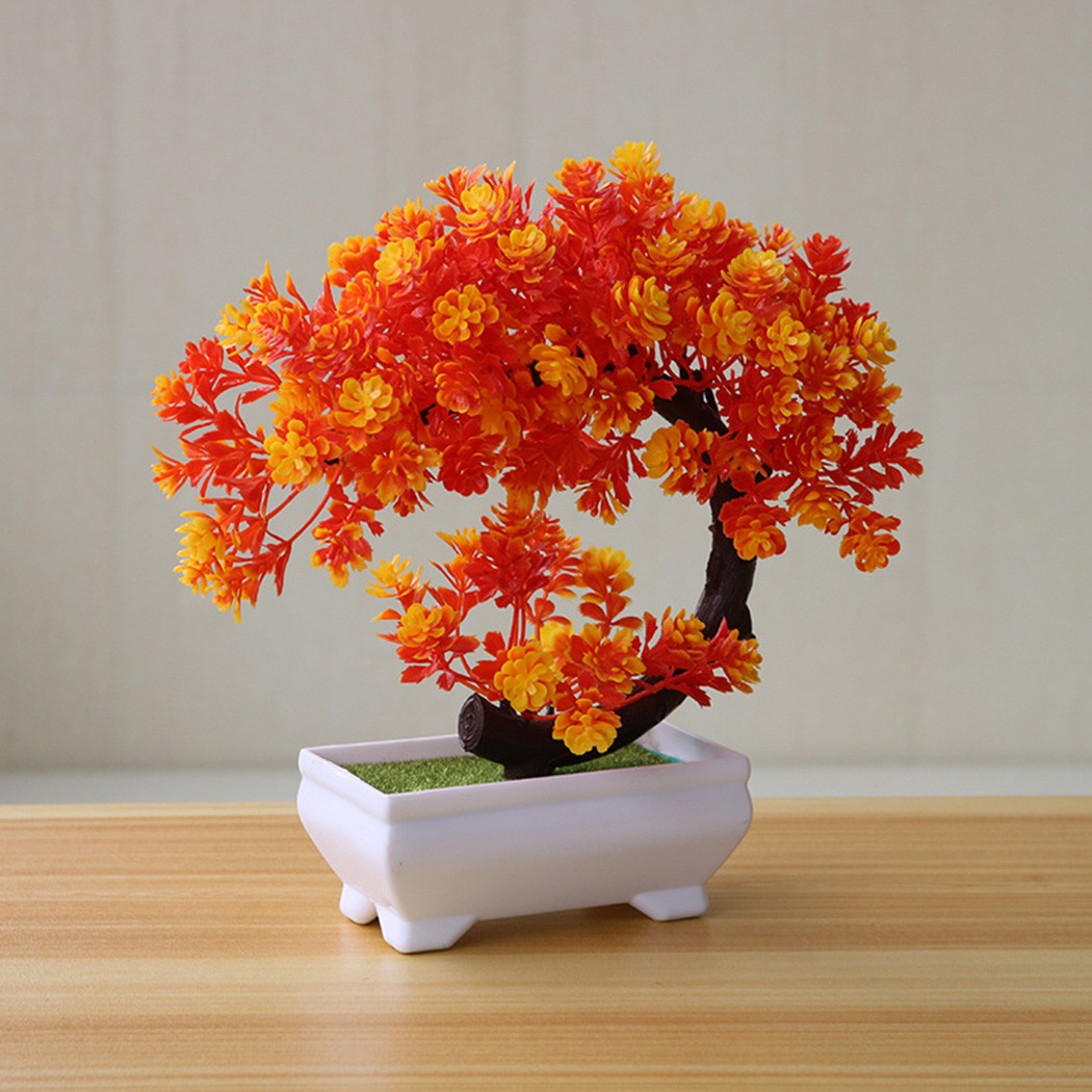 زينة بونساي بلاستيكية في وعاء  - مراجعة Bonsai Garden For Desk وسعره