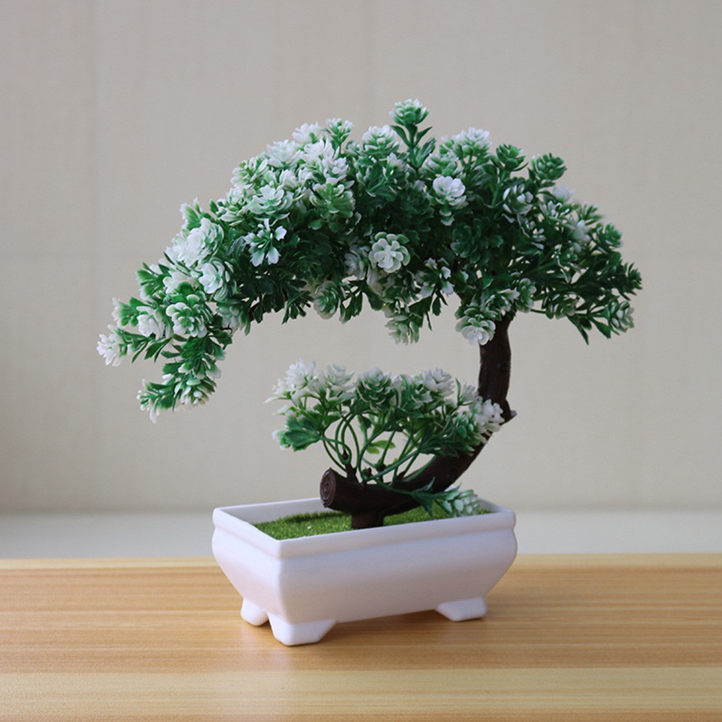 زينة بونساي بلاستيكية في وعاء  - مراجعة Bonsai Garden For Desk وسعره