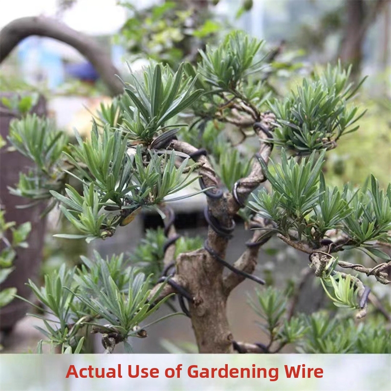 أسلاك بونساي من الألومنيوم بسم - مراجعة Bonsai Garden Tools وسعره