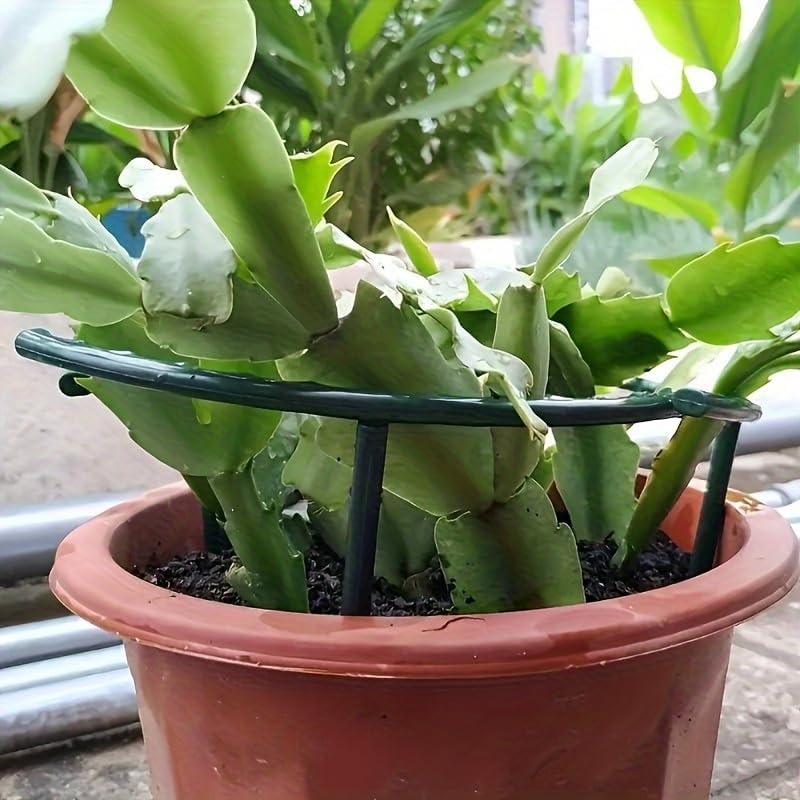 30-1 قطعة دعامة نباتات بلاستيك - مراجعة Bonsai Garden Tools وسعره