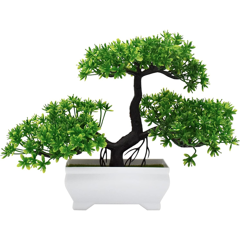 نبات صناعي بيونيك من البلاستيك - مراجعة Bonsai Garden For Desk وسعره
