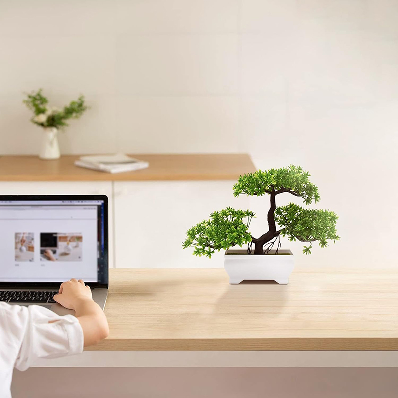 نبات صناعي بيونيك من البلاستيك - مراجعة Bonsai Garden For Desk وسعره