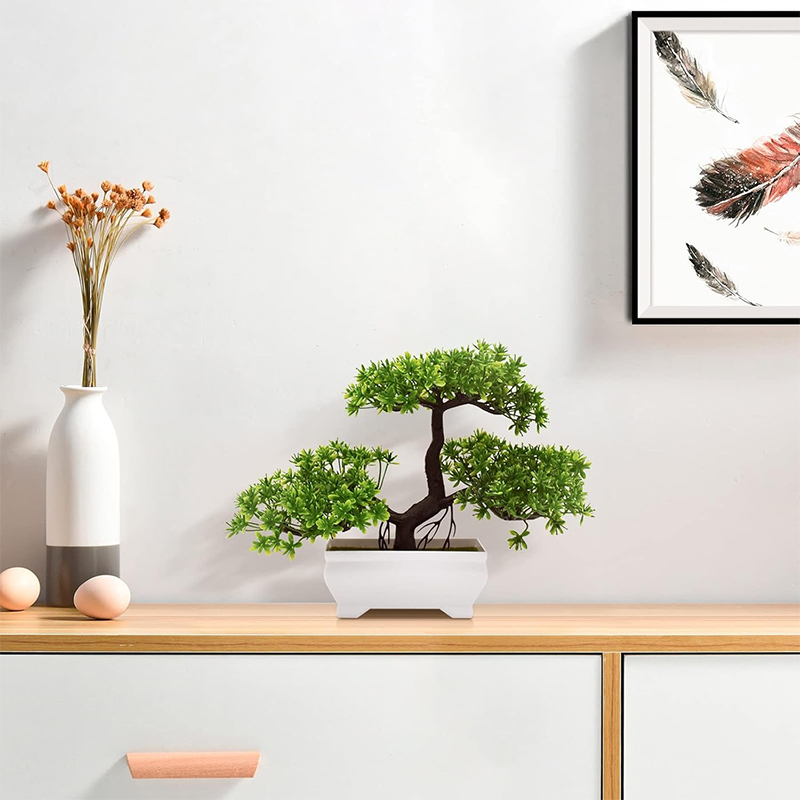 نبات صناعي بيونيك من البلاستيك - مراجعة Bonsai Garden For Desk وسعره