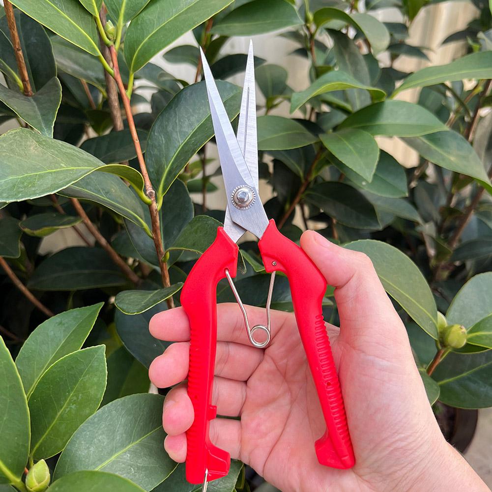 مقص تقليم احترافي للحدائق، مقص - مراجعة Bonsai Garden Tools وسعره