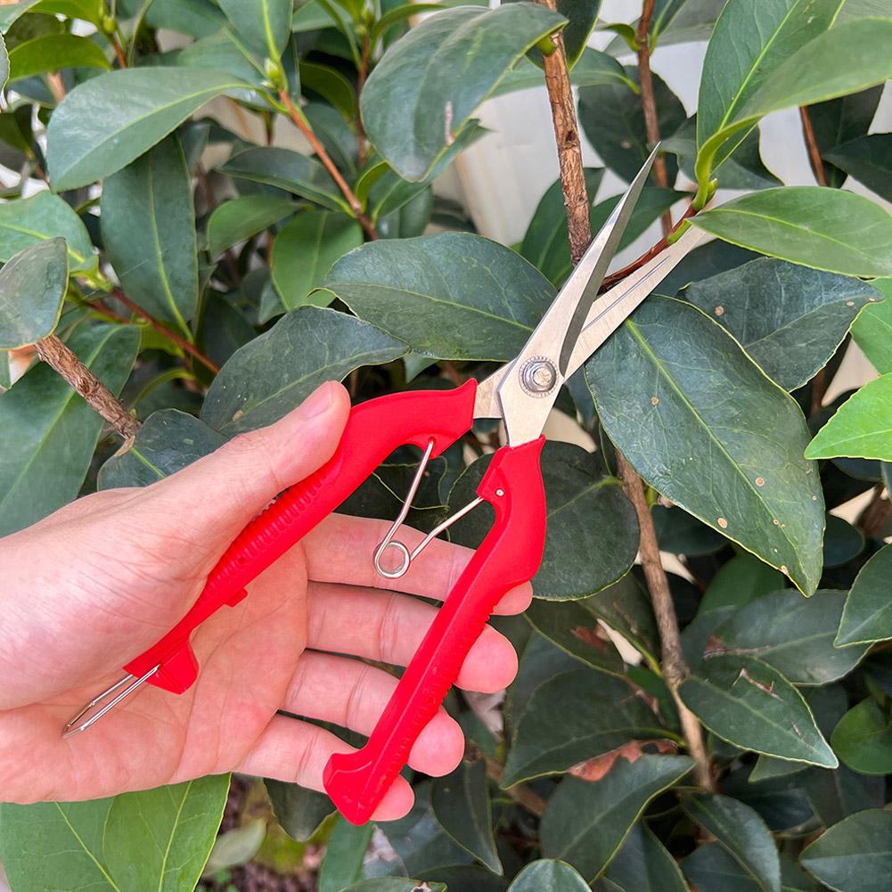 مقص تقليم احترافي للحدائق، مقص - مراجعة Bonsai Garden Tools وسعره