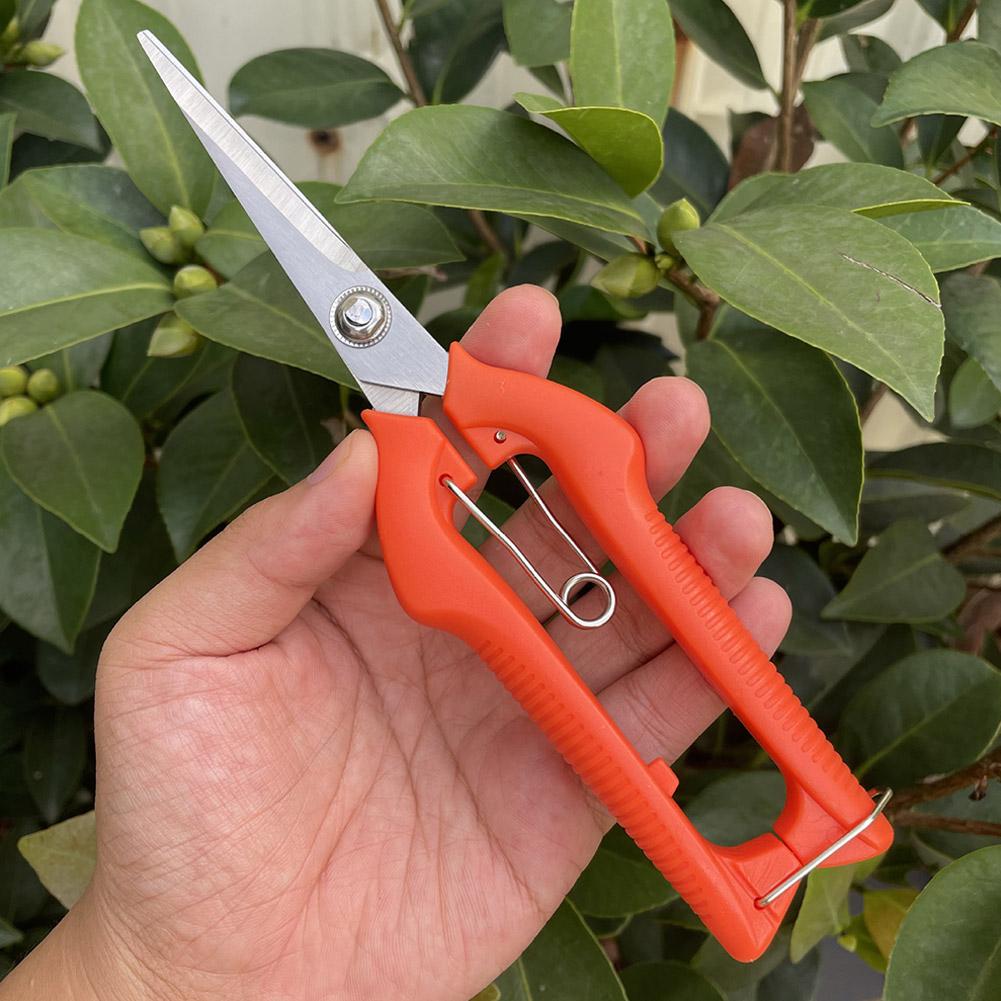 مقص تقليم احترافي للحدائق، مقص - مراجعة Bonsai Garden Tools وسعره